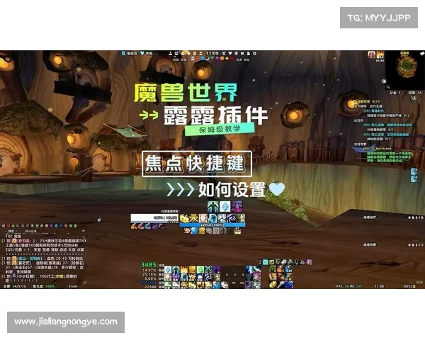 魔兽世界插件：副本总经验一目了然